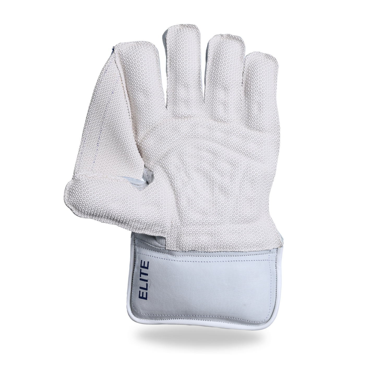 Wicketkeeping Gloves