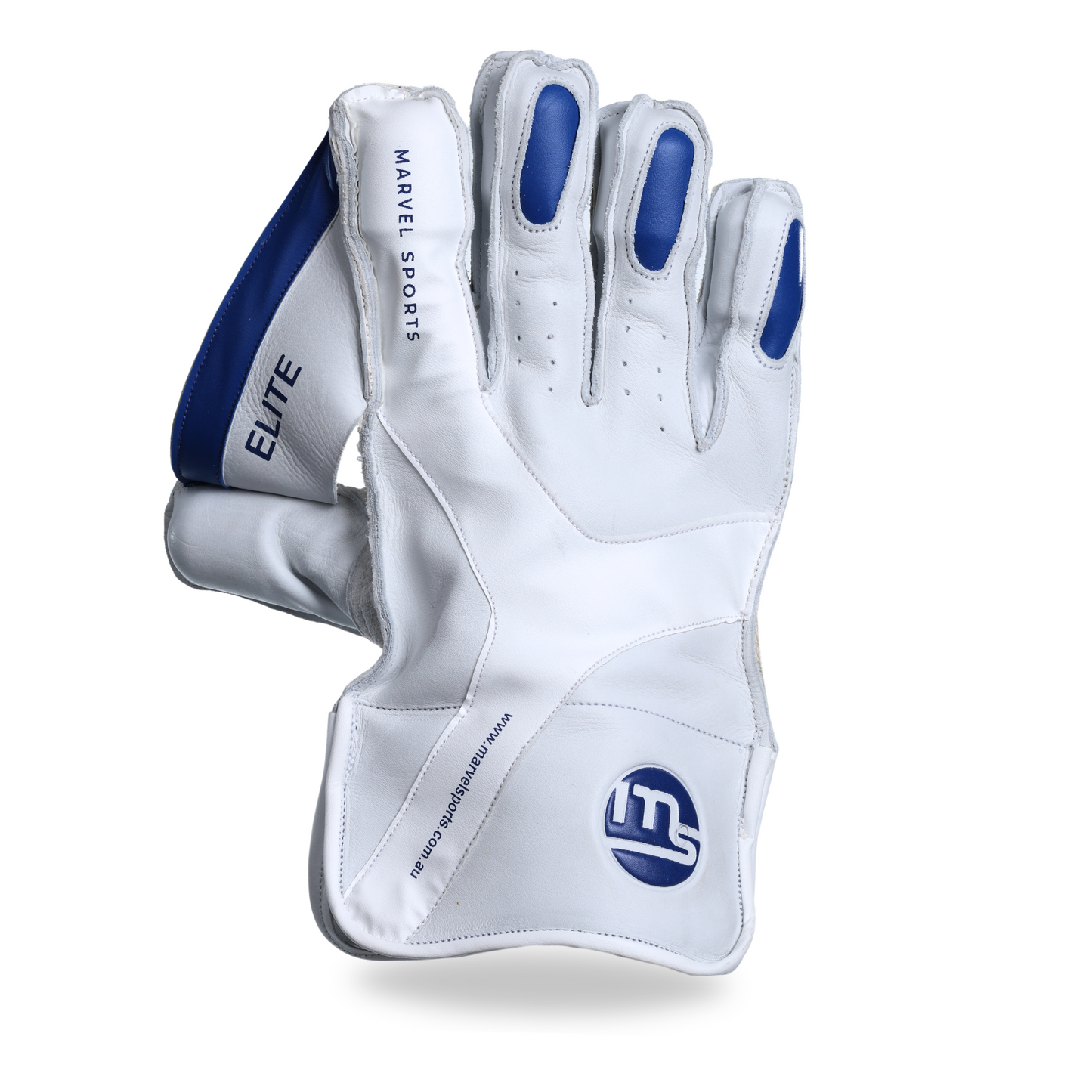 Wicketkeeping Gloves